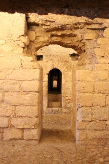 Criptopórtico Coimbra