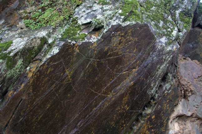 Pintura Rupestre de Foz Coa