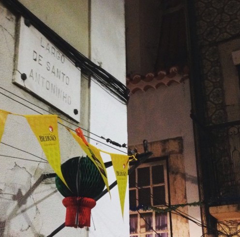 Manjericos - Festa Santo Antonio Lisboa