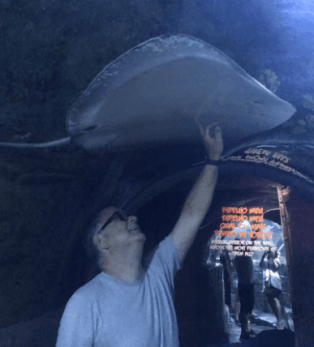 Screen Shot 2018-07-29 at 8.08.19 PM